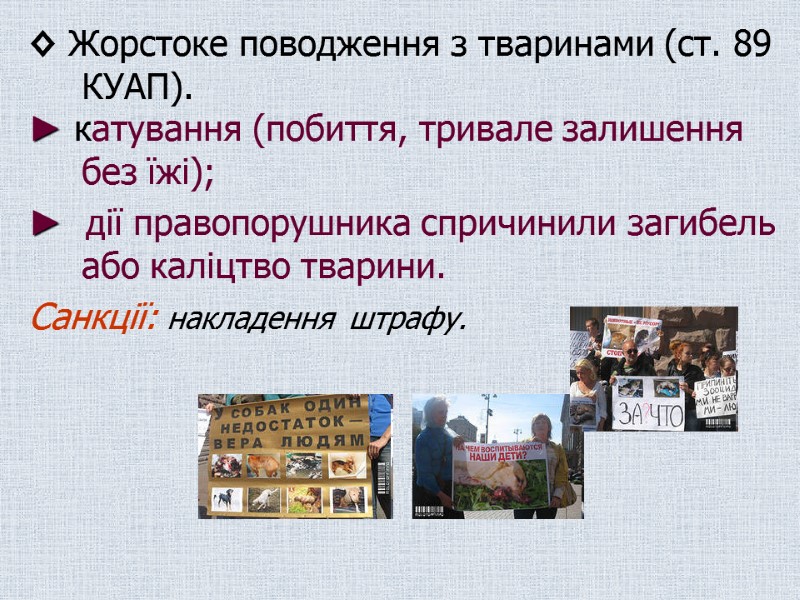 ◊ Жорстоке поводження з тваринами (ст. 89 КУАП). ► катування (побиття, тривале залишення без